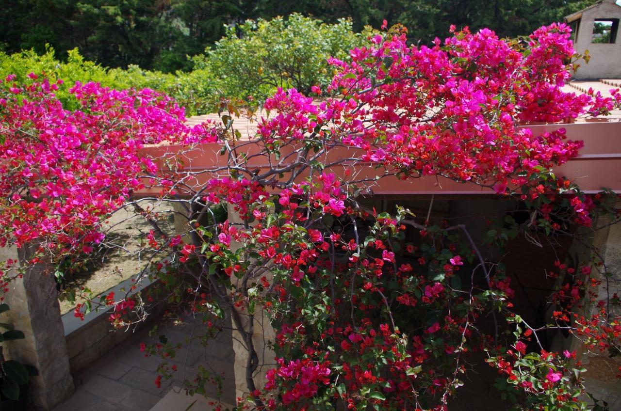 Corsaro B&B Donnalucata  Ngoại thất bức ảnh
